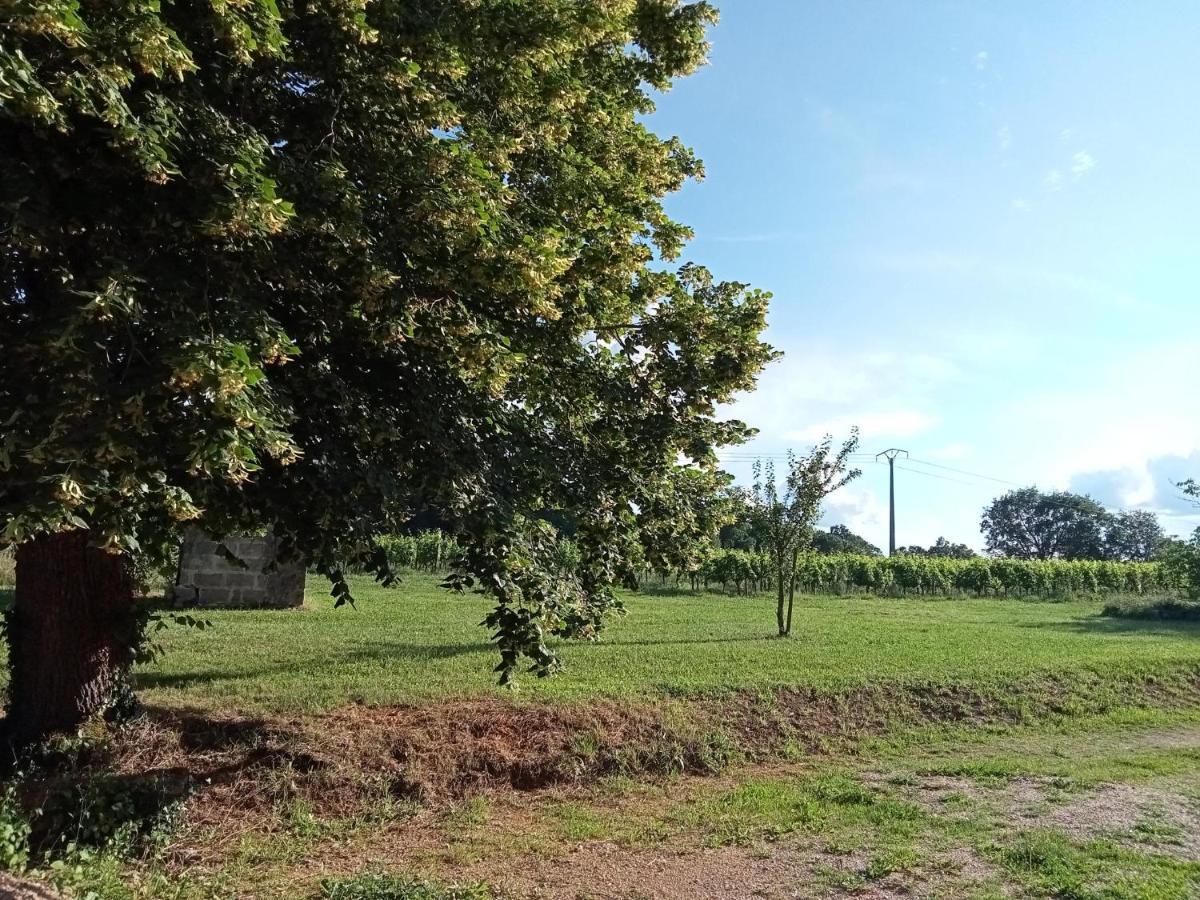 Willa Le Domaine D Anaelys Ruch Zewnętrze zdjęcie