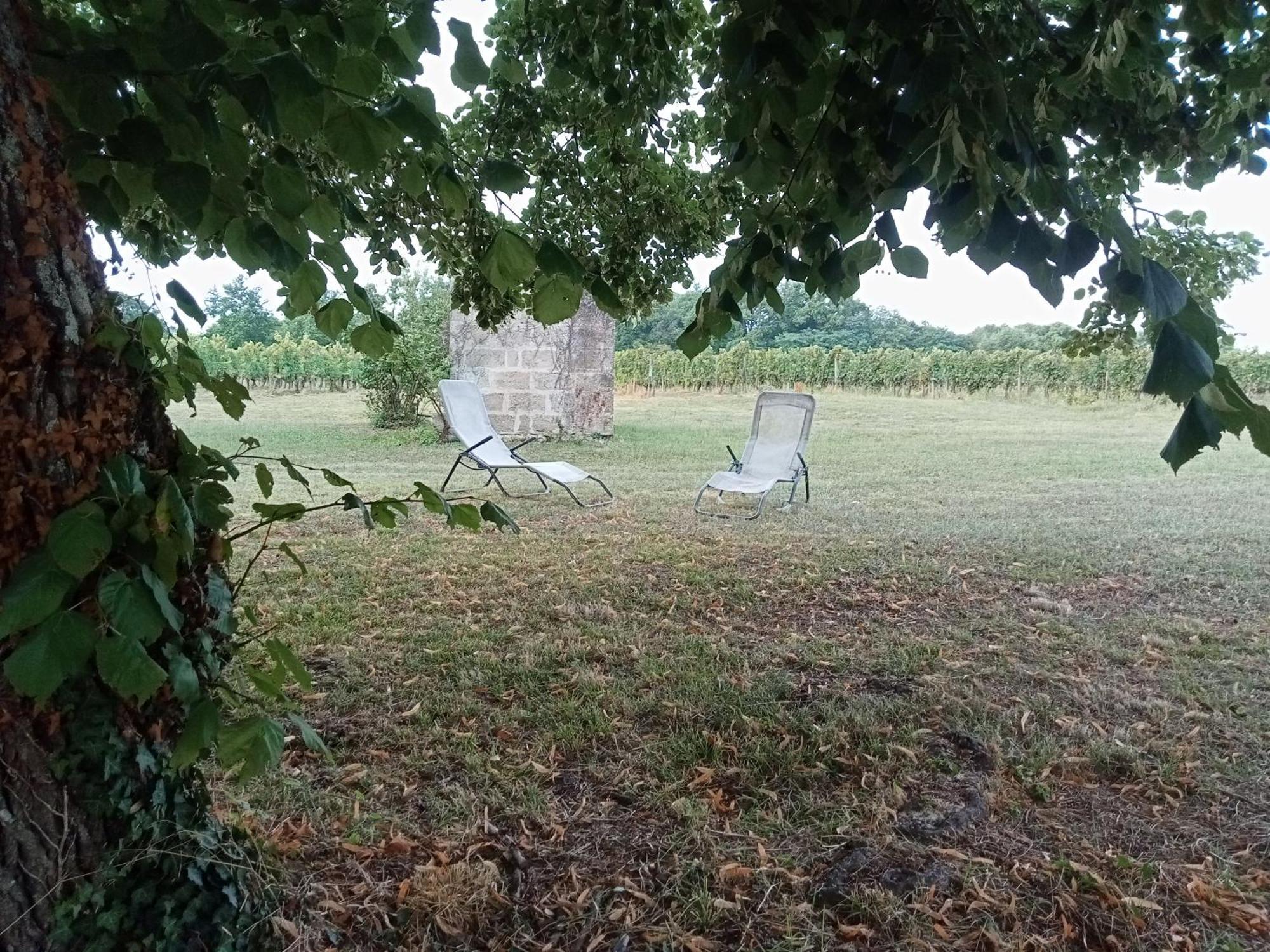 Willa Le Domaine D Anaelys Ruch Zewnętrze zdjęcie